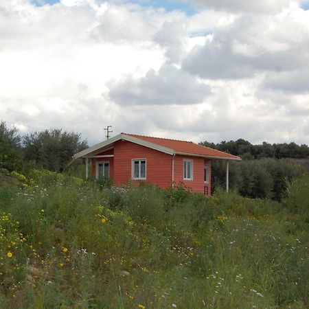 Mandorleo Appartement Belpasso Buitenkant foto