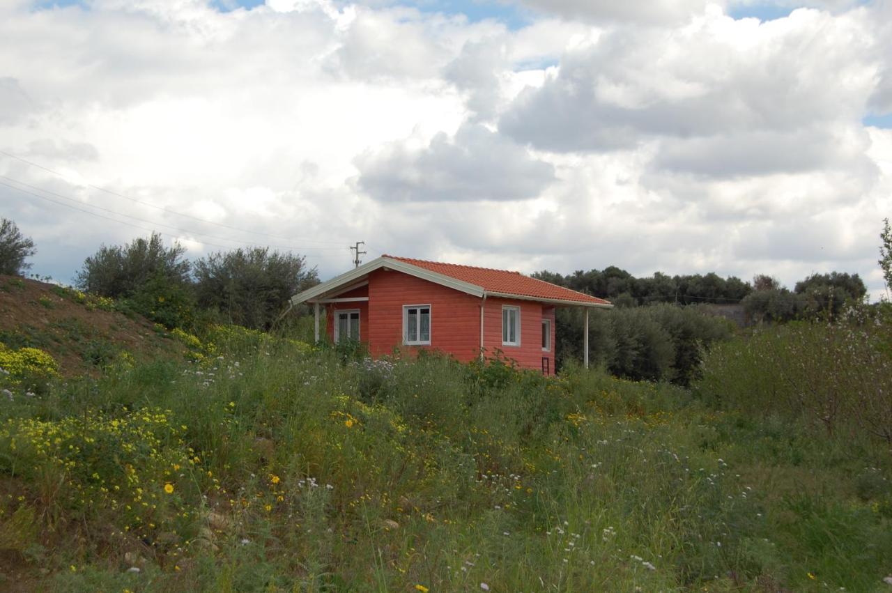 Mandorleo Appartement Belpasso Buitenkant foto